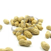 पक्षी भोजन मूँगफली