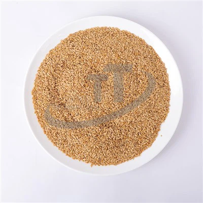 सन का बीज