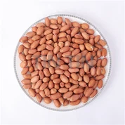 मूंगफली के दाने