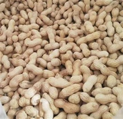 छोटे जापानी भुने हुए मूंगफली के छिलके