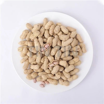 छिलके में भुनी हुई मूंगफली