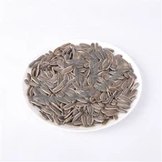 सूरजमुखी के बीज की गुठली