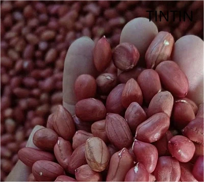 उत्कृष्ट गुणवत्ता, स्वादिष्ट और 100% प्राकृतिक लाल त्वचा मूंगफली गिरी