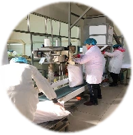 product-195-198 product-195-198