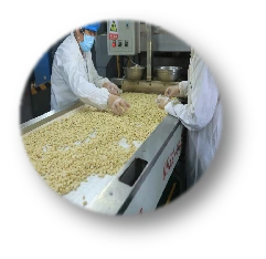 product-241-234 product-241-234