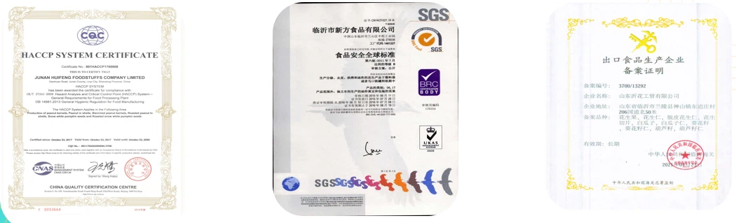 product-1050-319 product-1050-319