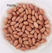 उच्च गुणवत्ता वाले चीनी मूंगफली कर्नेल आपूर्तिकर्ता