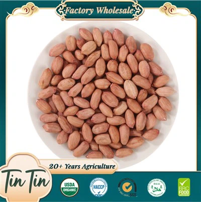 उच्च गुणवत्ता वाली नई फसल मूंगफली की गिरी