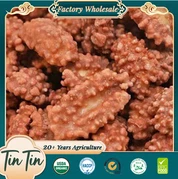 थोक अच्छी गुणवत्ता मूल चीन कॉफी मूंगफली