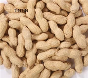 थोक उच्च गुणवत्ता वाले चीनी भुना हुआ मूंगफली खोल में