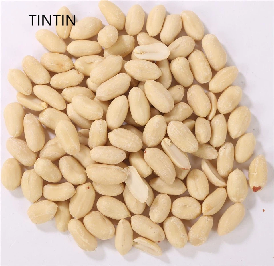 थोक उत्कृष्ट गुणवत्ता और कम कीमत ब्लैंचेड मूंगफली कर्नेल
